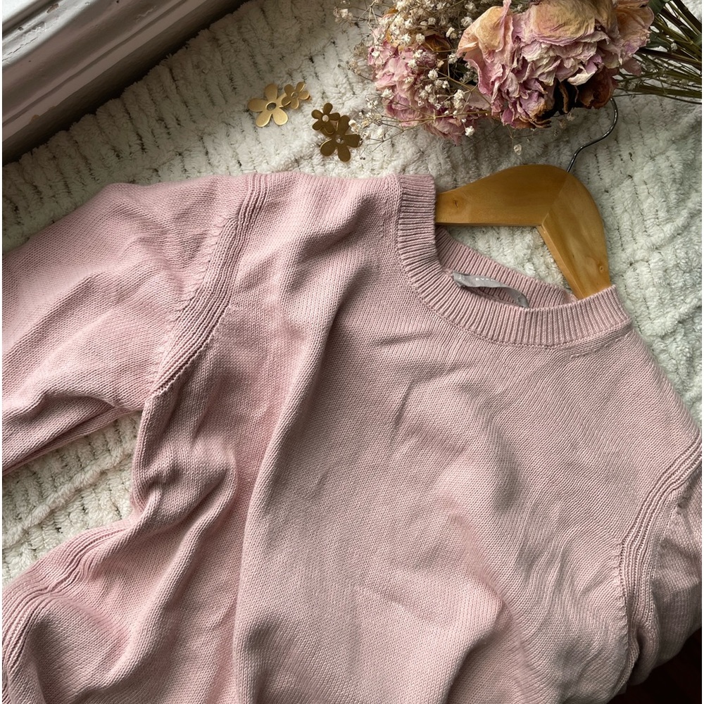 Everlane Cotton Sweater